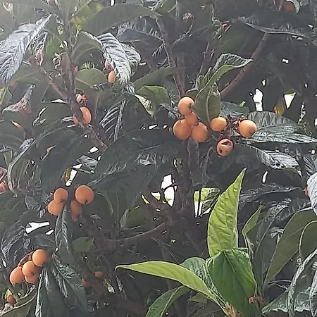 Telesico Residencia Pombal (Leiria)