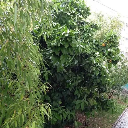 Telesico Residencia Πανσιόν *