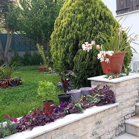 Πανσιόν Telesico Residencia Pombal (Leiria)