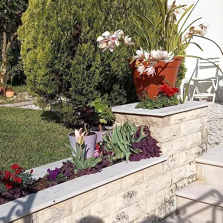 Telesico Residencia Πανσιόν Pombal (Leiria)