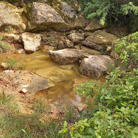 Πανσιόν Telesico Residencia Pombal (Leiria)