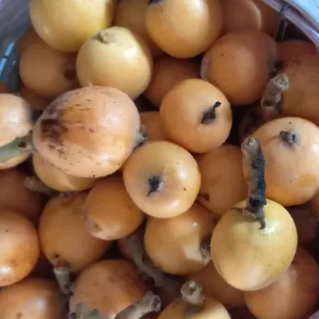 Πανσιόν Telesico Residencia