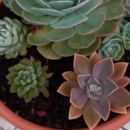 Telesico Residencia Πανσιόν Pombal (Leiria)