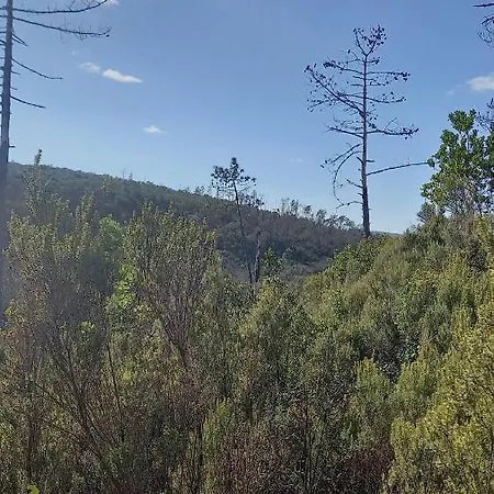 Telesico Residencia Πανσιόν