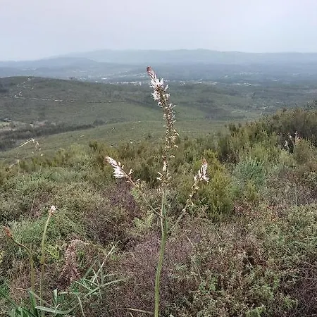 Telesico Residencia Πανσιόν *