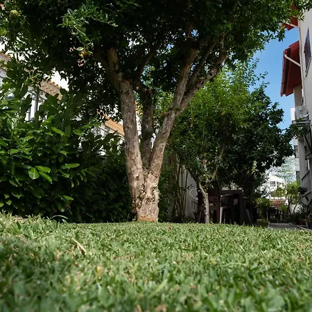 Telesico Residencia Casa de hóspedes