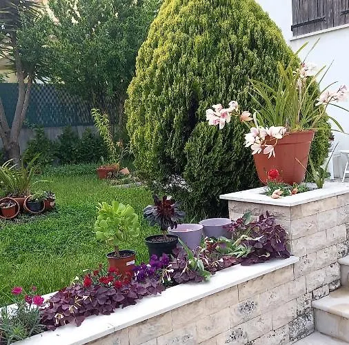 Maison d'hôtes Telesico Residencia Pombal (Leiria)