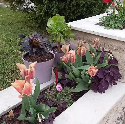 Telesico Residencia * Pombal (Leiria)