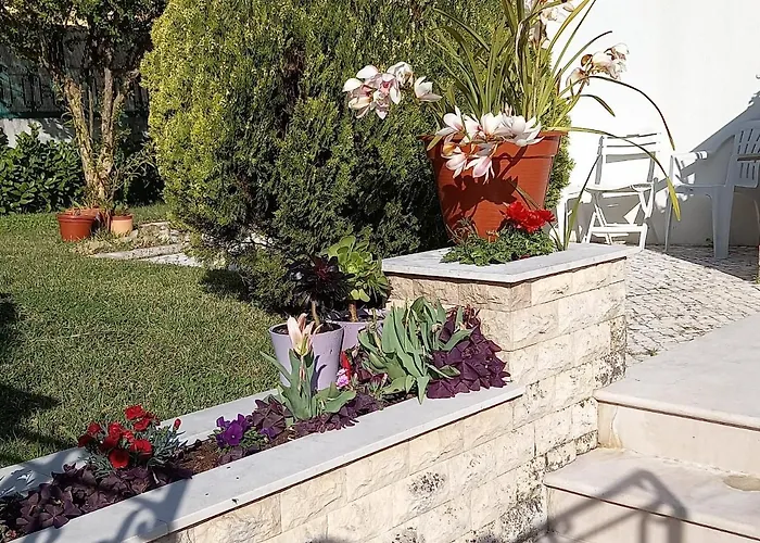 Telesico Residencia Maison d'hôtes Pombal (Leiria)