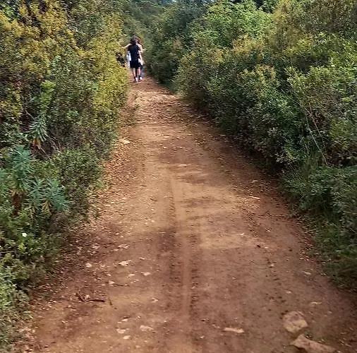 Telesico Residencia Maison d'hôtes