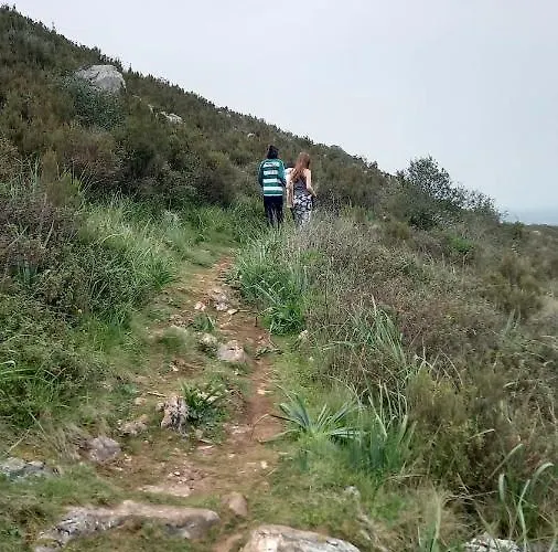 Telesico Residencia Maison d'hôtes Pombal (Leiria)