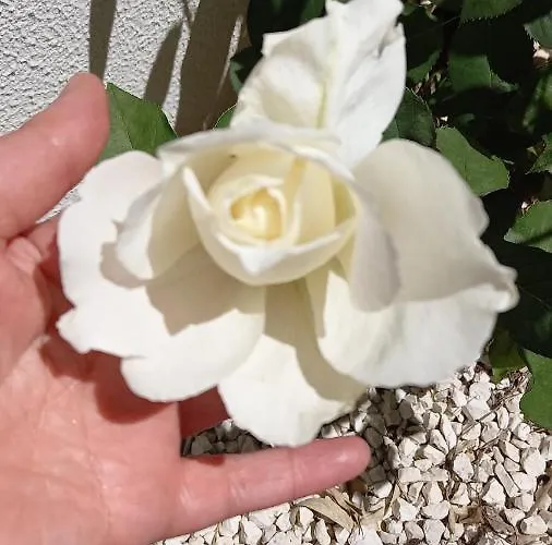 Maison d'hôtes Telesico Residencia *