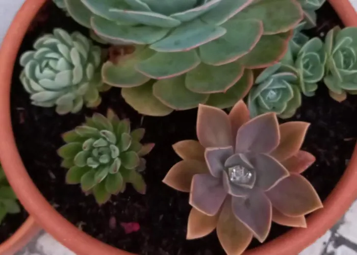 Telesico Residencia Maison d'hôtes Pombal (Leiria)