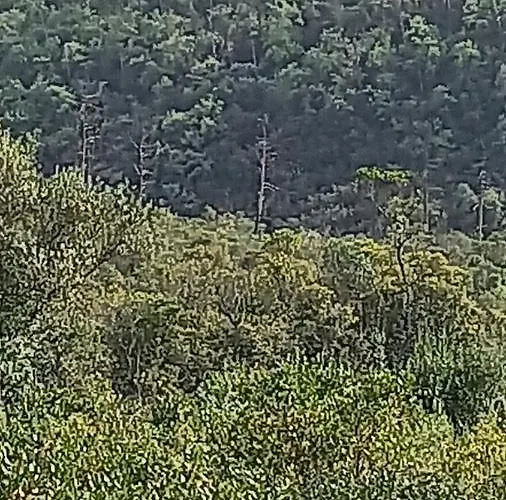 Telesico Residencia Maison d'hôtes Pombal (Leiria)